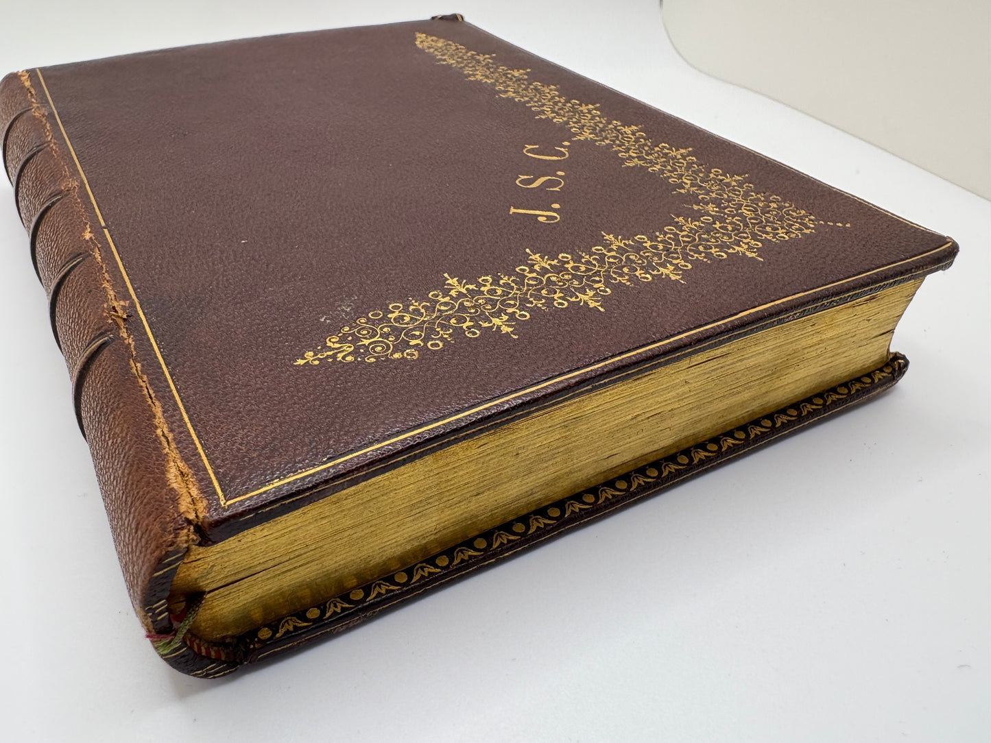 1880 La Femme Studieuse